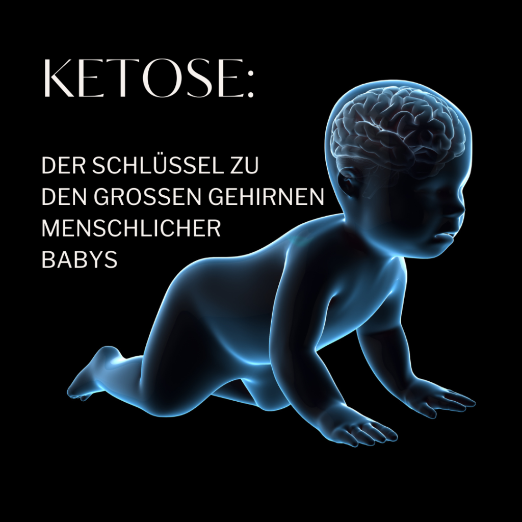 Baby, Gehirn, Ketose, exogene Ketone, Entwicklung, Neuronen, Intelligenz