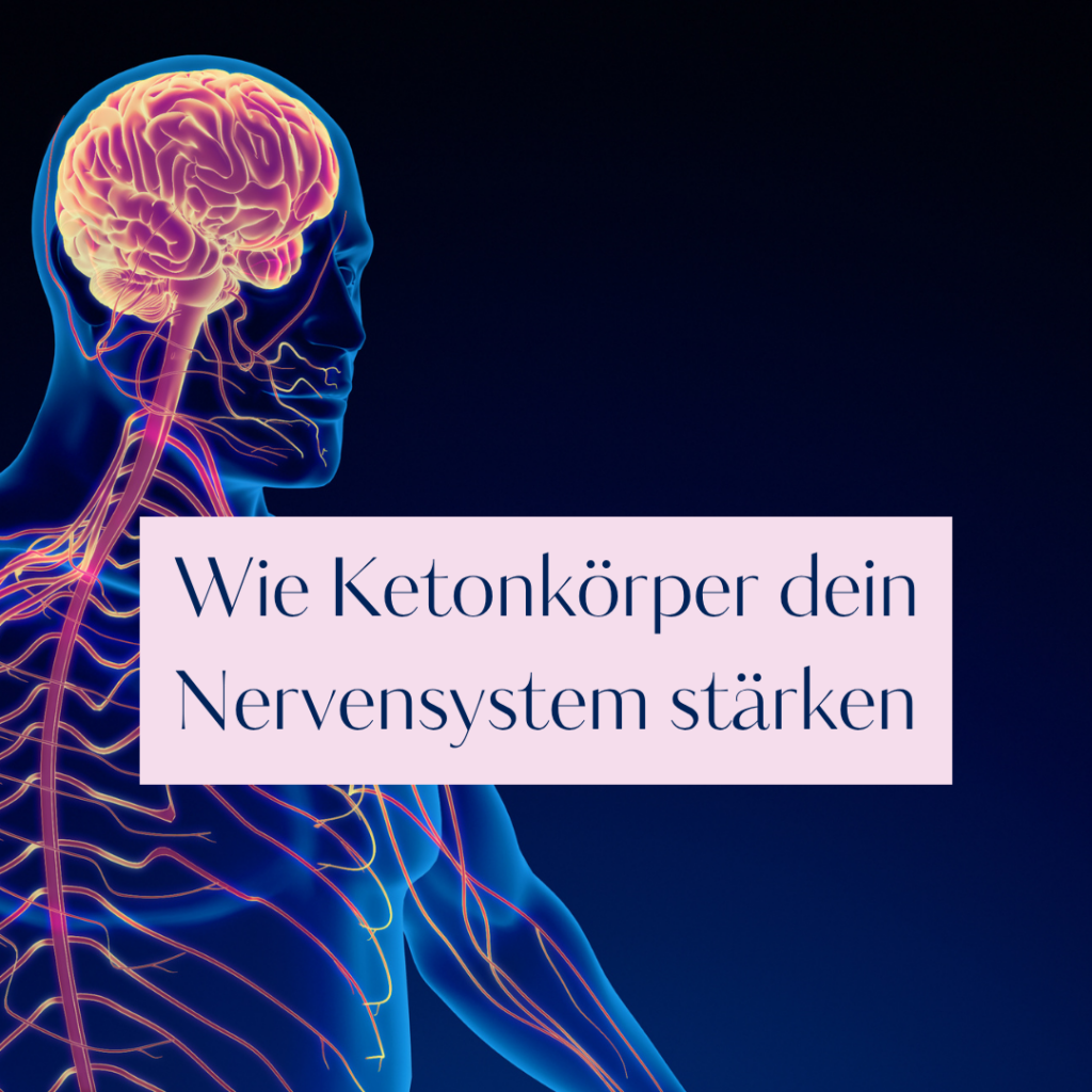 Wie Ketonkörper dein Nervensystem stärken