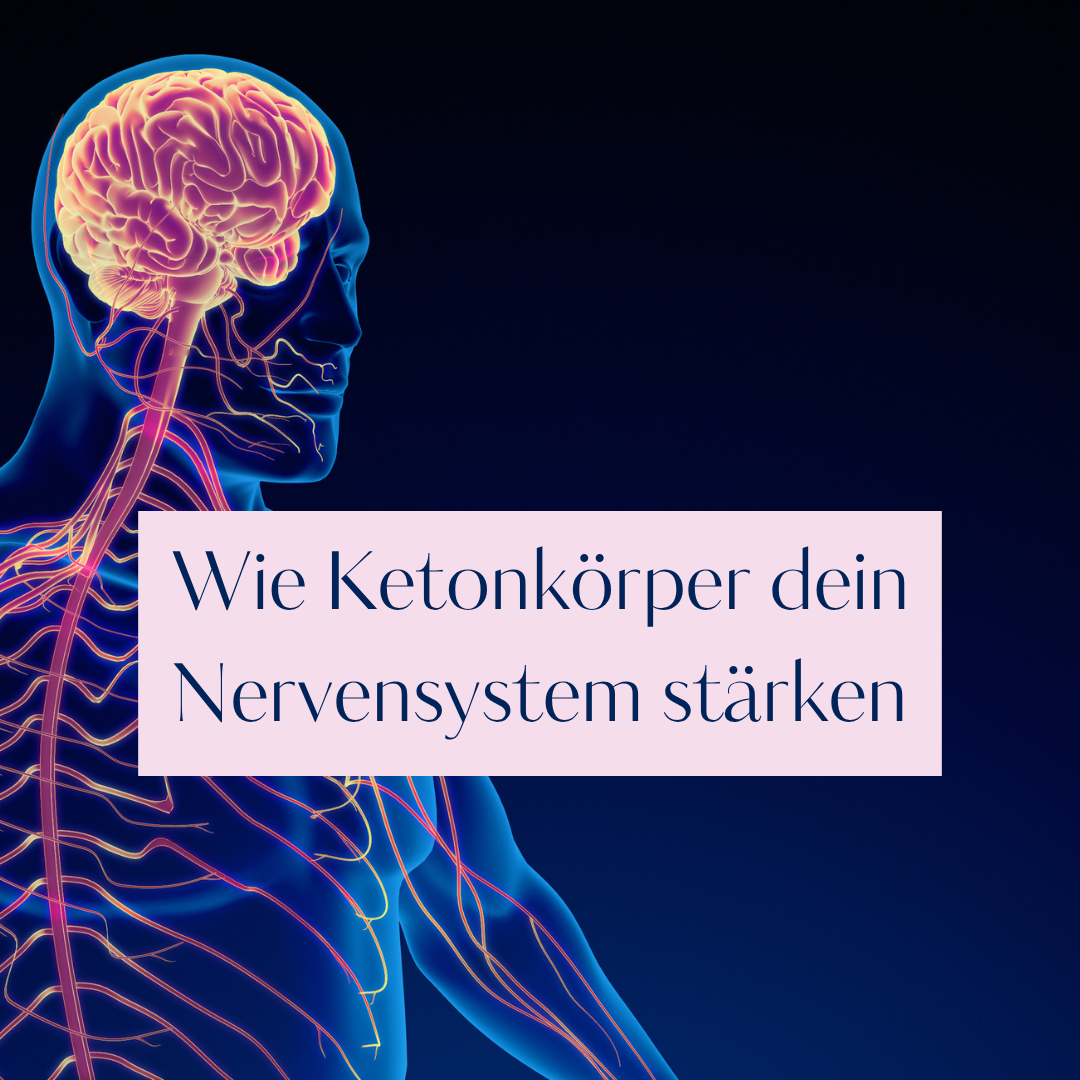 Wie Ketonkörper dein Nervensystem stärken