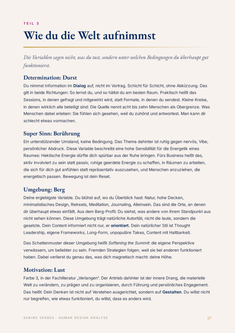 Beispielseite aus einem save-Analyse-Booklet: Wie du die Welt aufnimmst